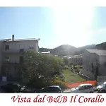 Il Corallo