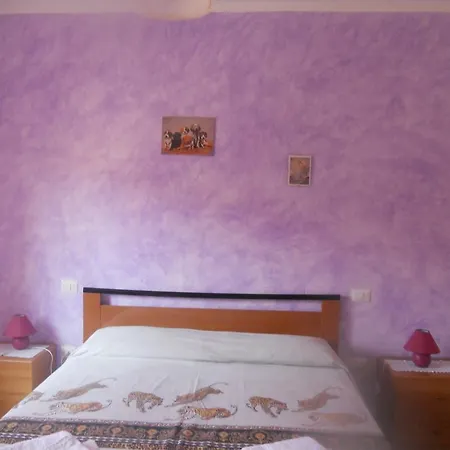 B&B Il Corallo 보사